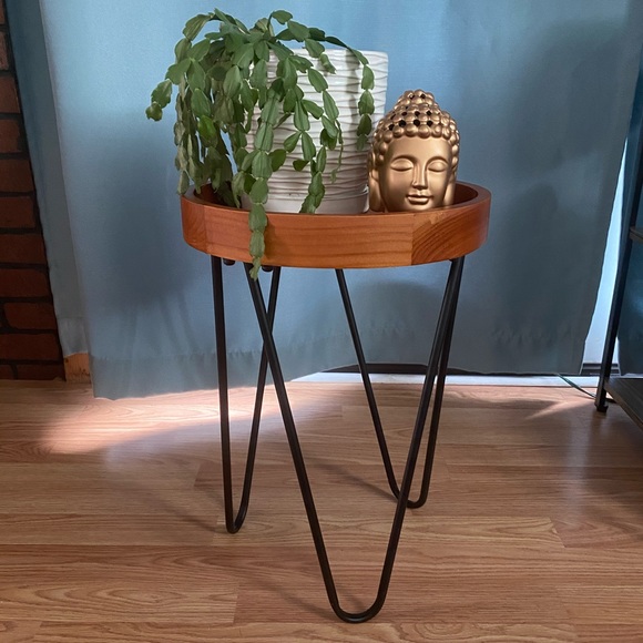 Other - *LAST ONE* NWT Plant Stand